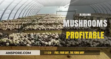 Mushroom Farming: A Lucrative Business?