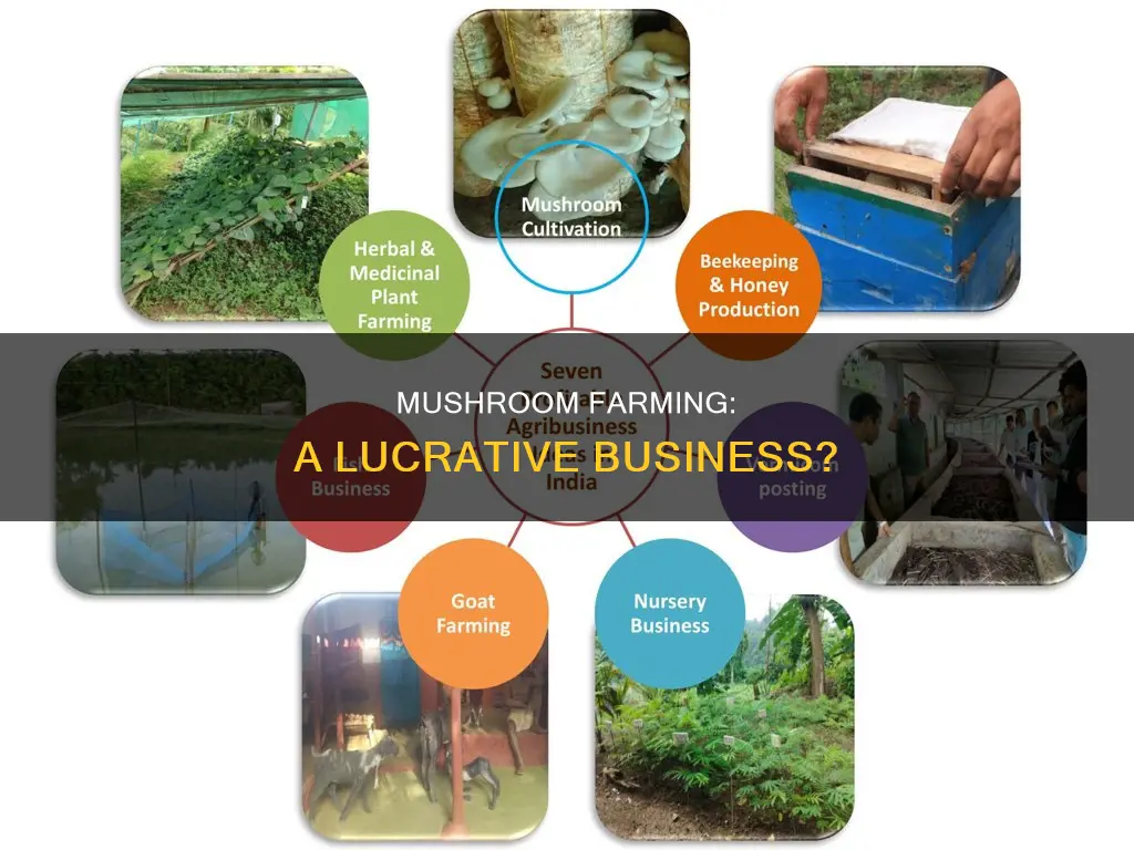 is selling mushrooms profitable