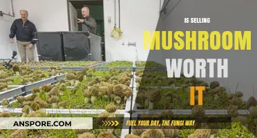 Mushroom Money: Is It Worth Selling?