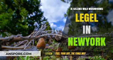 Is Selling Wild Mushrooms Legal in New York? A Guide