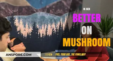 Enhancing Sex with Magic Mushrooms