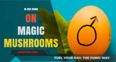 Exploring the Effects of Magic Mushrooms on Sexual Experiences