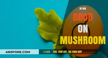 Exploring the Effects of Psilocybin on Sexual Experiences and Intimacy