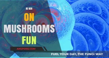 Psychedelic Sex: Fun or Not?