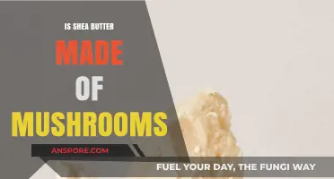 Is Shea Butter Made of Mushrooms? Unraveling the Myth and Facts