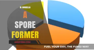 Shigella: Spore Formation Myth or Reality Explained