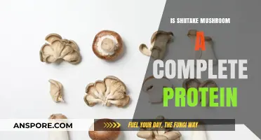 Shiitake Mushrooms: Complete Protein or Myth? Unveiling Nutritional Facts