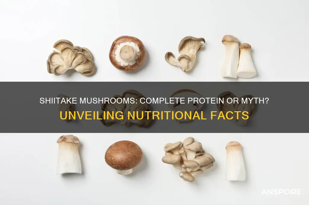 is shiitake mushroom a complete protein