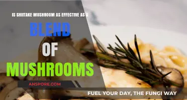 Shiitake vs. Mushroom Blends: Which Offers Superior Health Benefits?