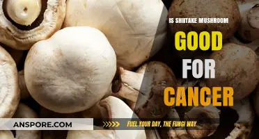 Shiitake Mushrooms: A Natural Ally in Cancer Prevention and Treatment?