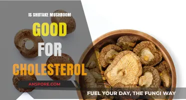Shiitake Mushrooms: A Natural Cholesterol-Lowering Superfood?