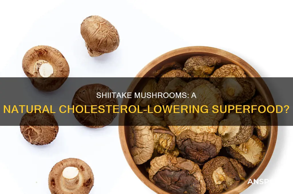 is shiitake mushroom good for cholesterol
