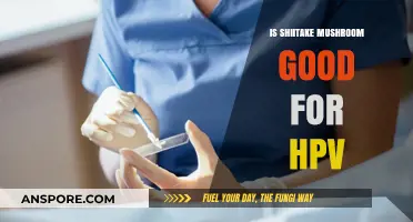 Shiitake Mushrooms and HPV: Exploring Potential Health Benefits