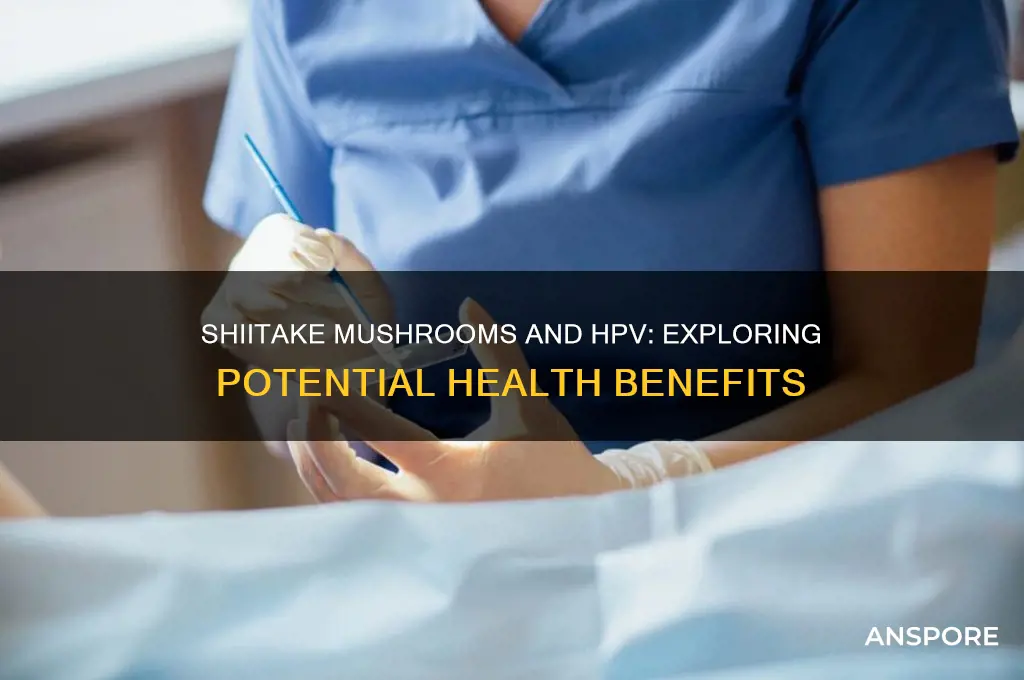 is shiitake mushroom good for hpv