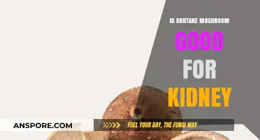 Shiitake Mushrooms and Kidney Health: Benefits, Risks, and Considerations