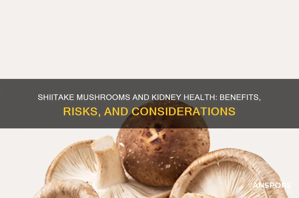 is shiitake mushroom good for kidney