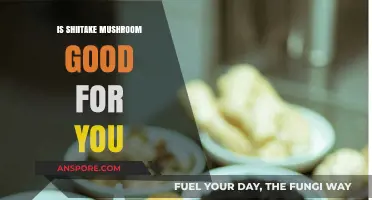 Shiitake Mushrooms: Unlocking Health Benefits and Nutritional Power