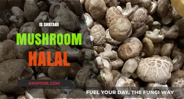 Shiitake Mushrooms: Halal or Haram?