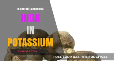 Shiitake Mushrooms: Unveiling Their Potassium Content and Health Benefits