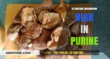 Shiitake Mushrooms and Purine: Unveiling the Truth for Gout Sufferers