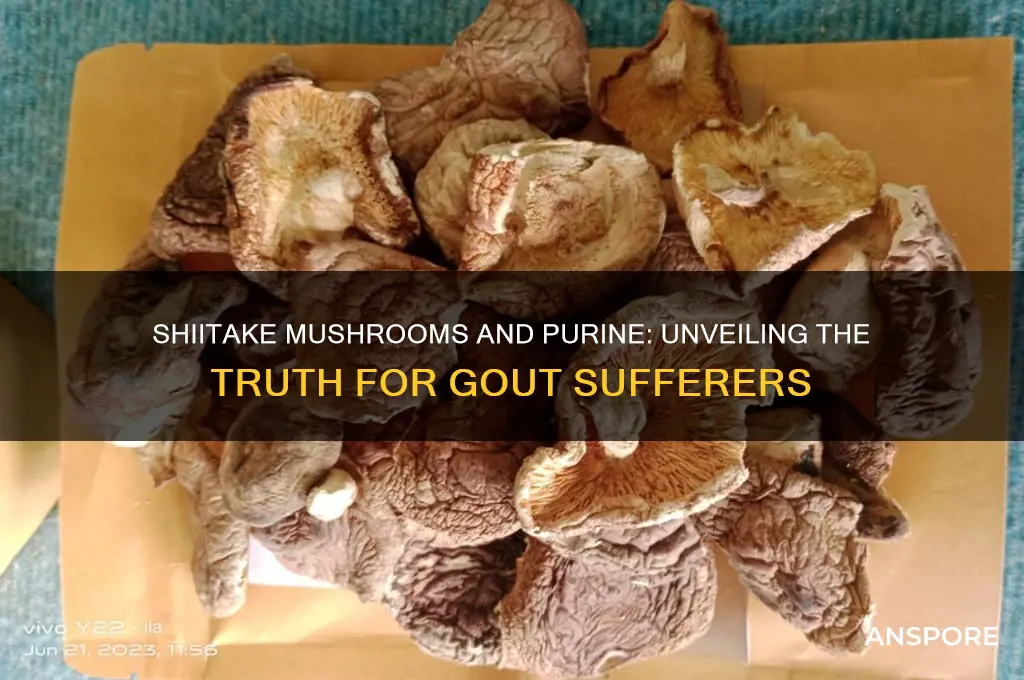 is shiitake mushroom high in purine