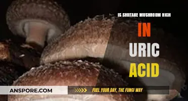 Shiitake Mushrooms and Uric Acid: What You Need to Know
