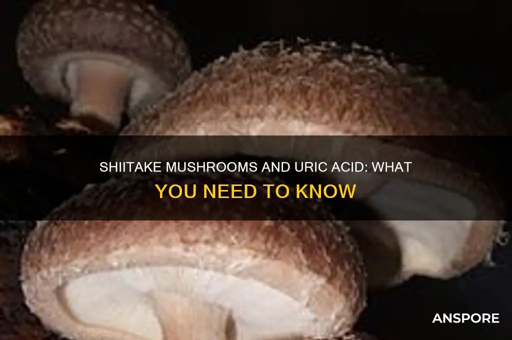 is shiitake mushroom high in uric acid
