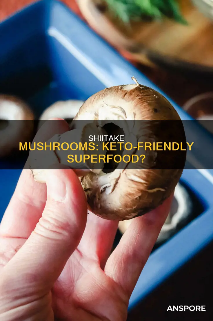 is shiitake mushroom keto