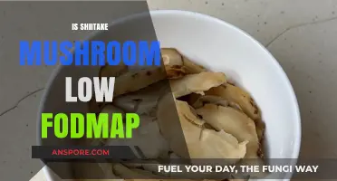 Shiitake Mushrooms: Friend or Foe on Low-FODMAP Diet?