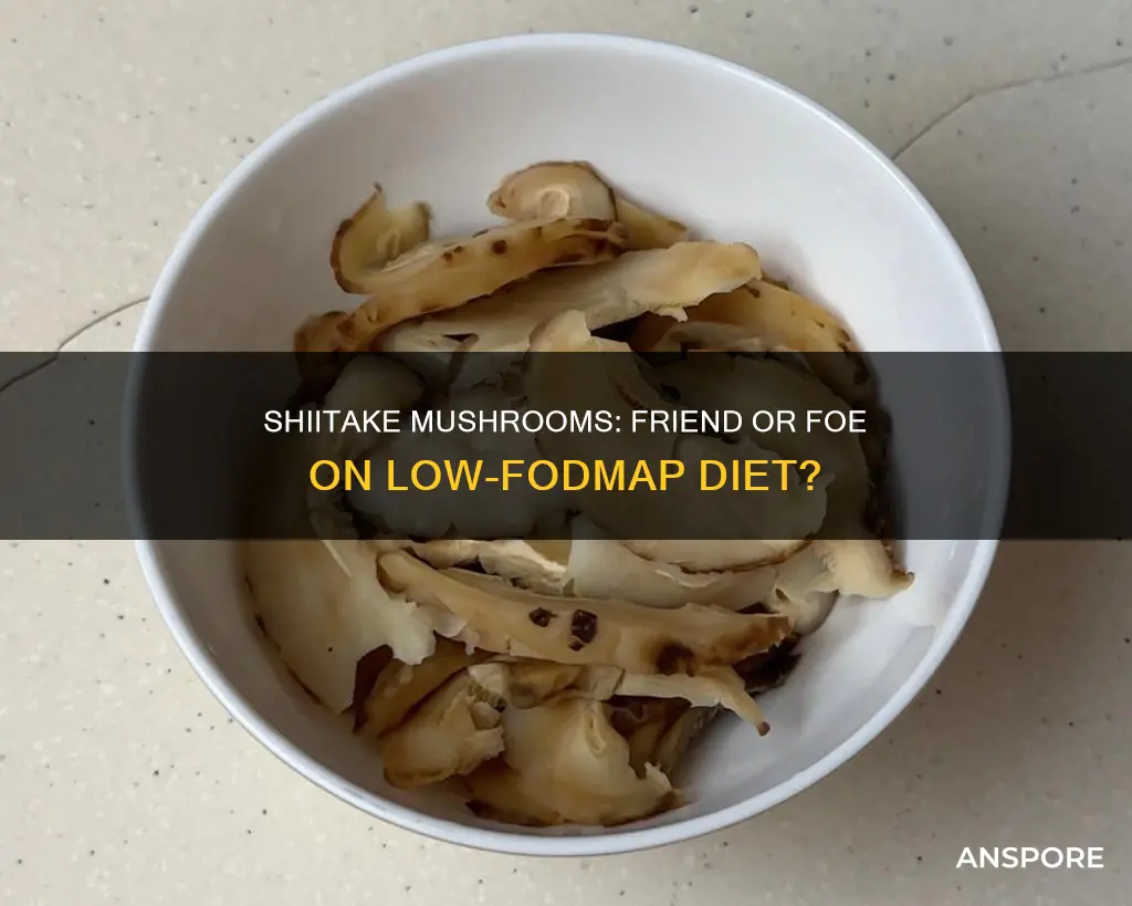 is shiitake mushroom low fodmap