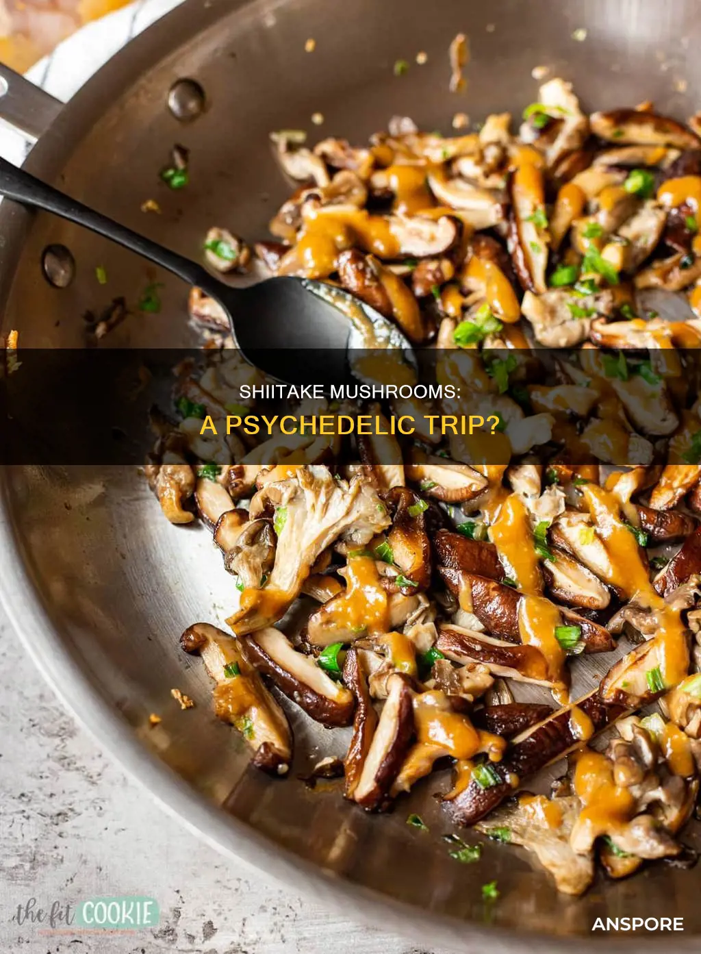 is shiitake mushroom psychedelic