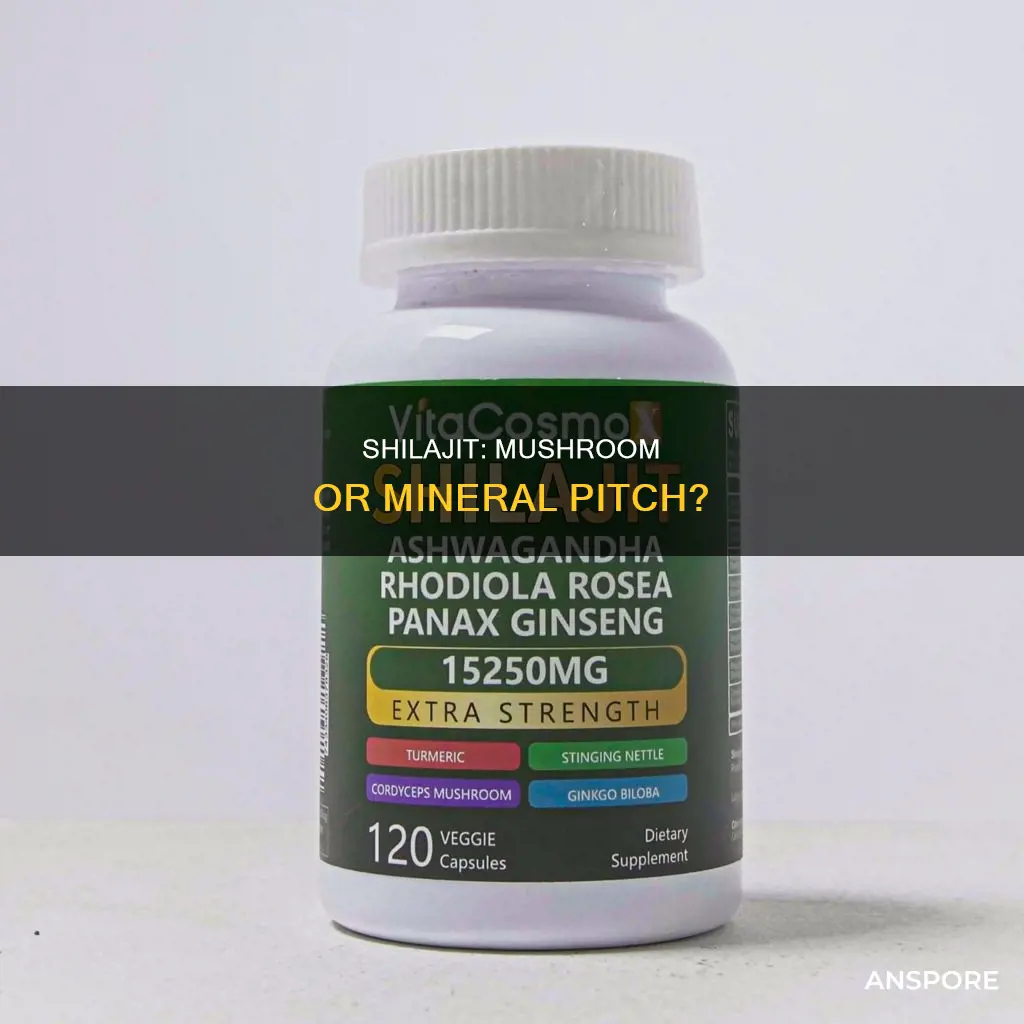 is shilajit a mushroom