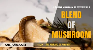 Shiitake vs. Mushroom Blends: Which Offers Superior Health Benefits?