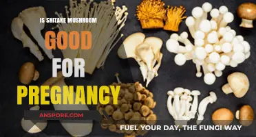 Shiitake Mushrooms in Pregnancy: Benefits, Safety, and Nutritional Value