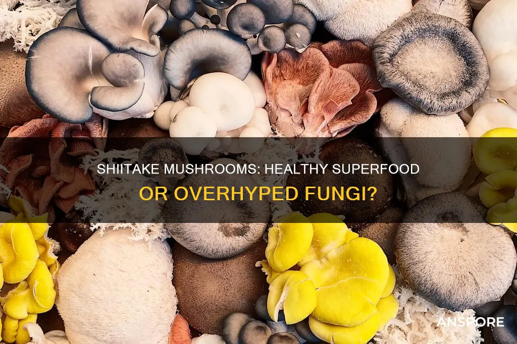 is shitake mushroom healthy