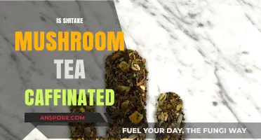 Shiitake Mushroom Tea: Caffeine or Not?