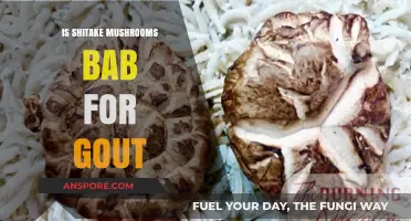 Shiitake Mushrooms and Gout: Are They Safe or Harmful?