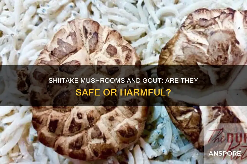 is shitake mushrooms bab for gout