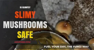 Are Mushrooms Safe If They're Slightly Slimy?