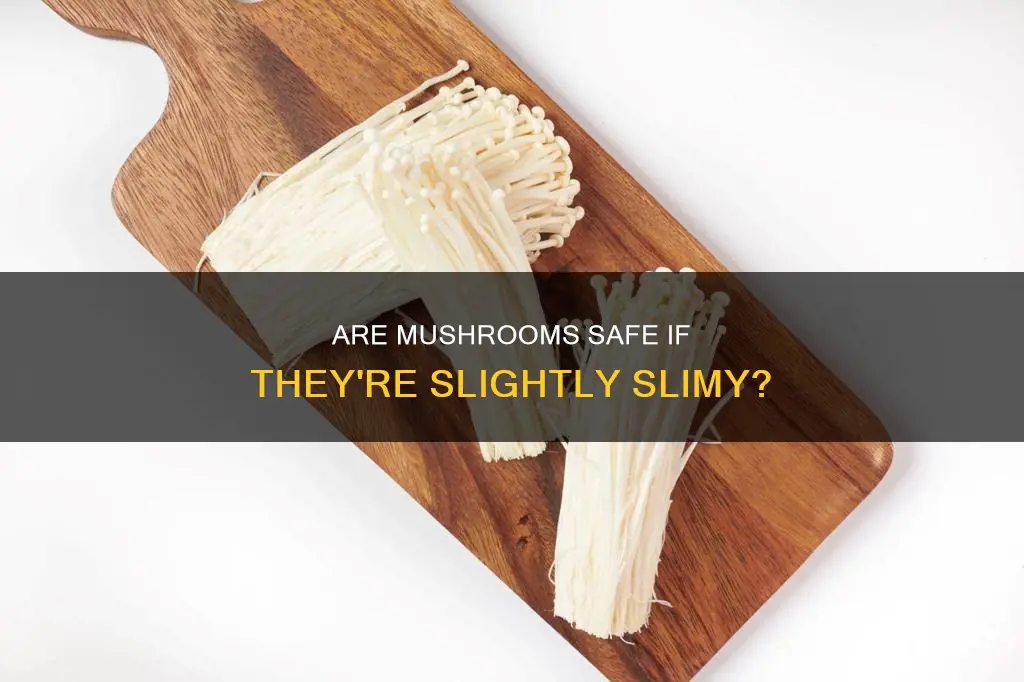 is slightly slimy mushrooms safe