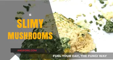Slime on Mushrooms: Friend or Foe?