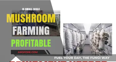 Small-Scale Mushroom Farming: Profitable Venture or Costly Hobby?