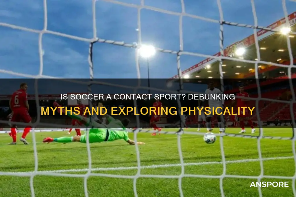 is soccer a contct spor