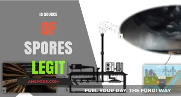 Is Source of Spores Legit? Unveiling the Truth Behind the Brand
