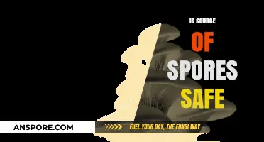 Is Your Source of Spores Safe? Key Considerations and Risks