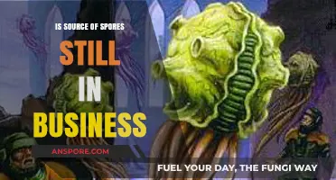 Is Source of Spores Still Operating? Business Status Update 2023
