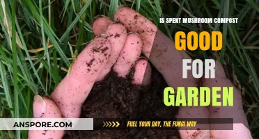 Spent Mushroom Compost: Benefits and Uses for a Thriving Garden