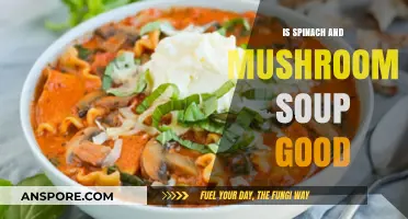 Spinach and Mushroom Soup: A Healthy, Flavorful Comfort Food Choice?
