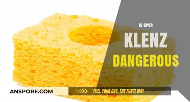 Is Spor Klenz Dangerous? Uncovering Potential Risks and Safety Concerns