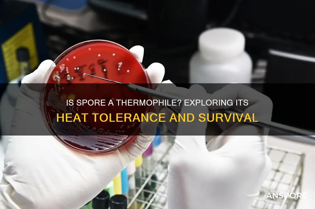 is spore a theromophile